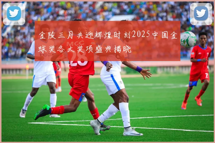 金陵三月共迎辉煌时刻2025中国金球奖各大奖项盛典揭晓