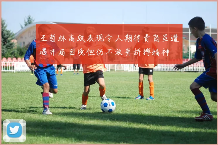 王哲林高效表现令人期待青岛虽遭遇开局困境但仍不放弃拼搏精神